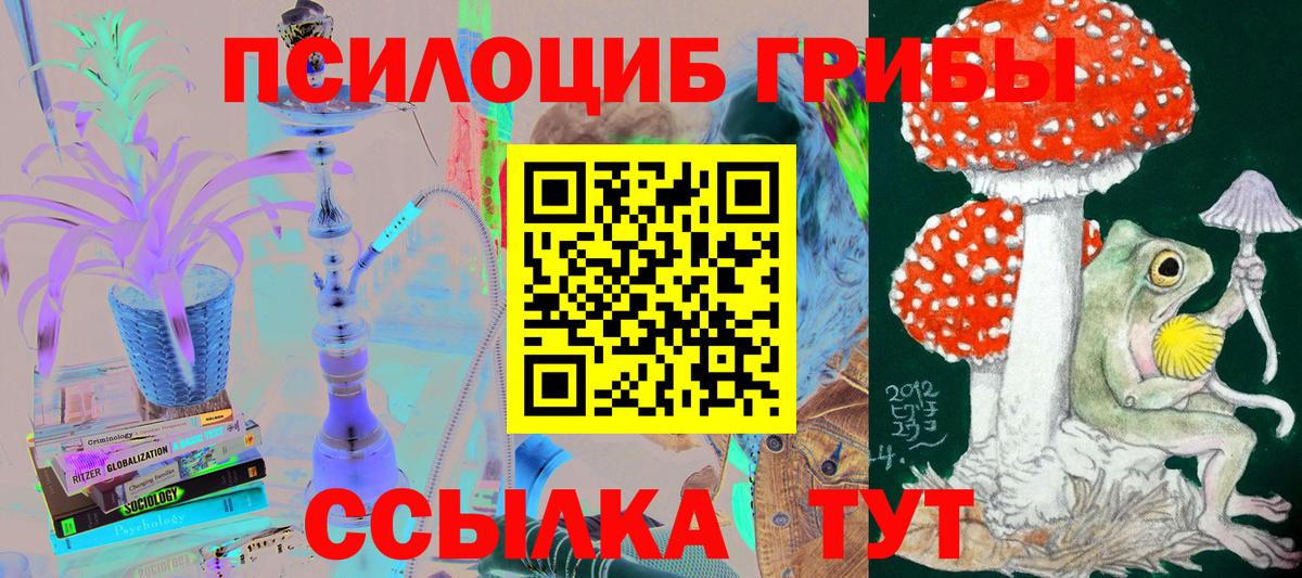 Галлюциногенные грибы MAGIC MUSHROOMS  Вход с VPN  Галлюциногенные грибы прущие грибы  Тутаев 